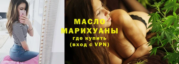 тгк Богородицк