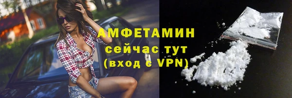 стаф Богданович