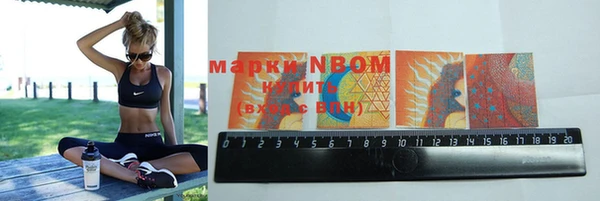 стаф Богданович