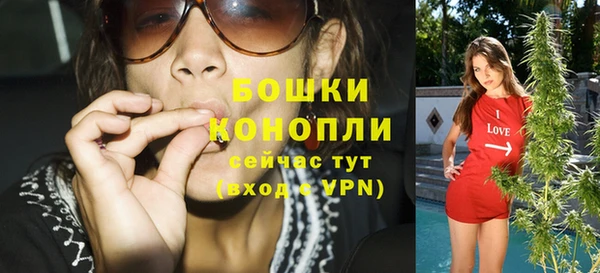 тгк Богородицк