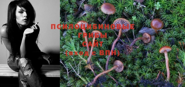 меф Белокуриха