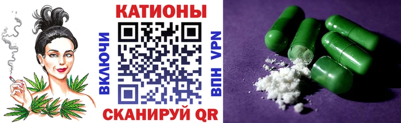 гидра как войти  Славгород  МЯУ-МЯУ мяу мяу 