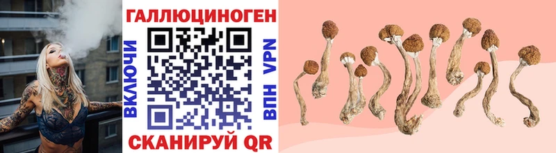 Галлюциногенные грибы MAGIC MUSHROOMS  Славгород 